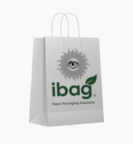 Kraft paper bag with hand